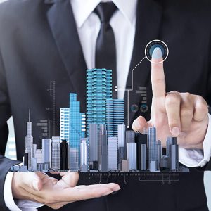 Digital Strategy Consulting